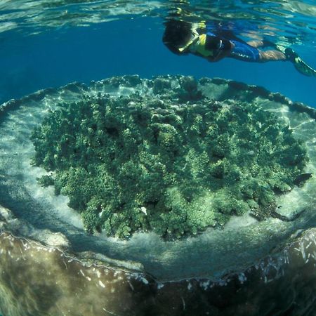 Sal Salis Ningaloo Reef Hotel เอ็กซ์มัธ ภายนอก รูปภาพ