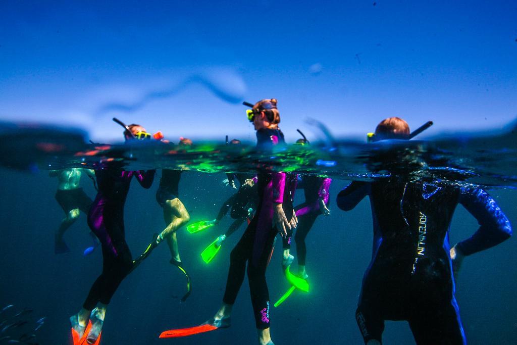 Sal Salis Ningaloo Reef Hotel เอ็กซ์มัธ ภายนอก รูปภาพ